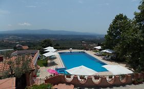 B&B Pacilita
